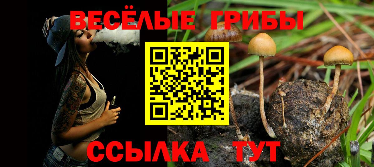 Мурманск  продажа наркотиков  Вход с VPN  Галлюциногенные грибы мицелий 